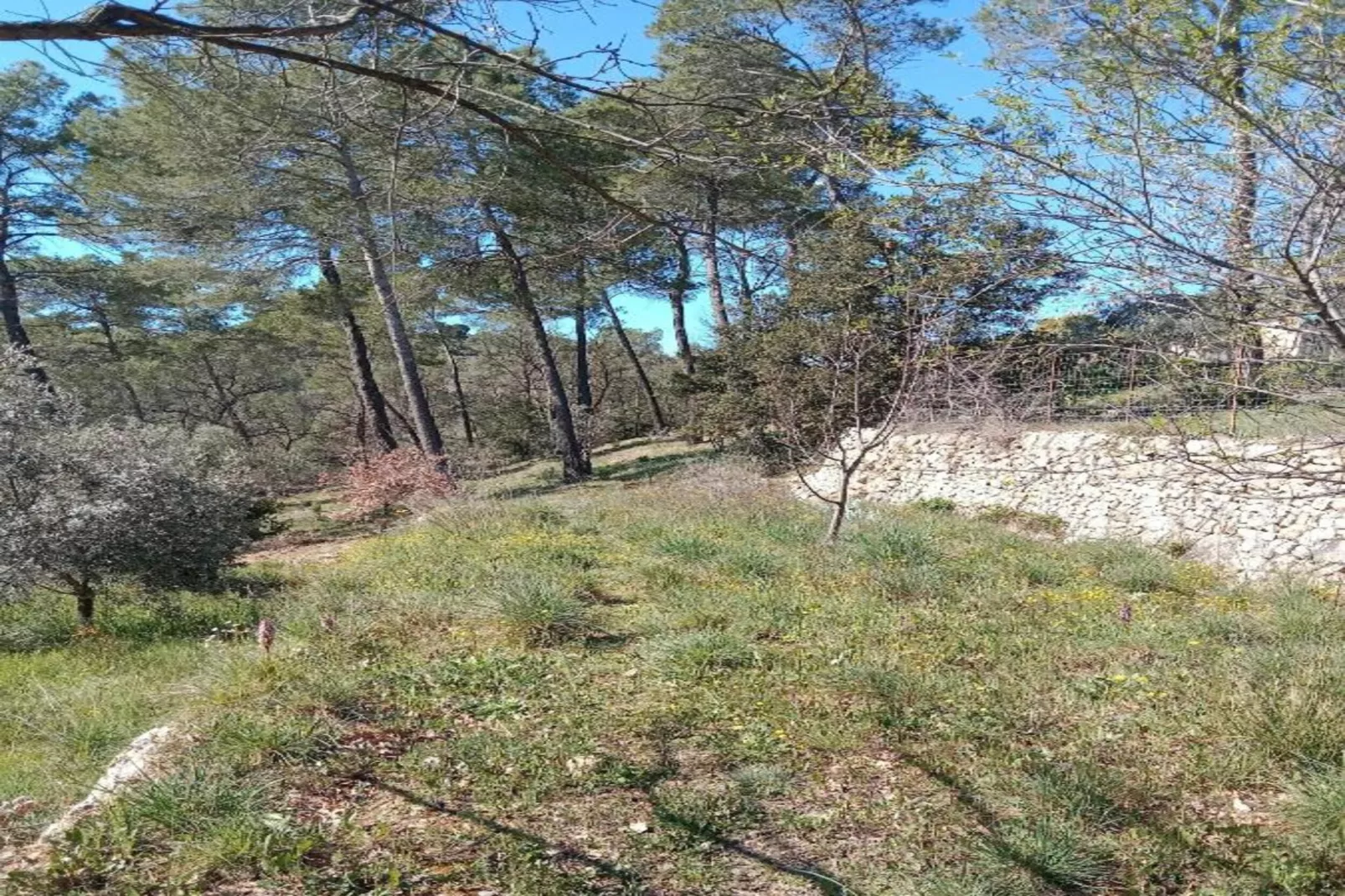 Mar vivo-Areas within 20km in summer