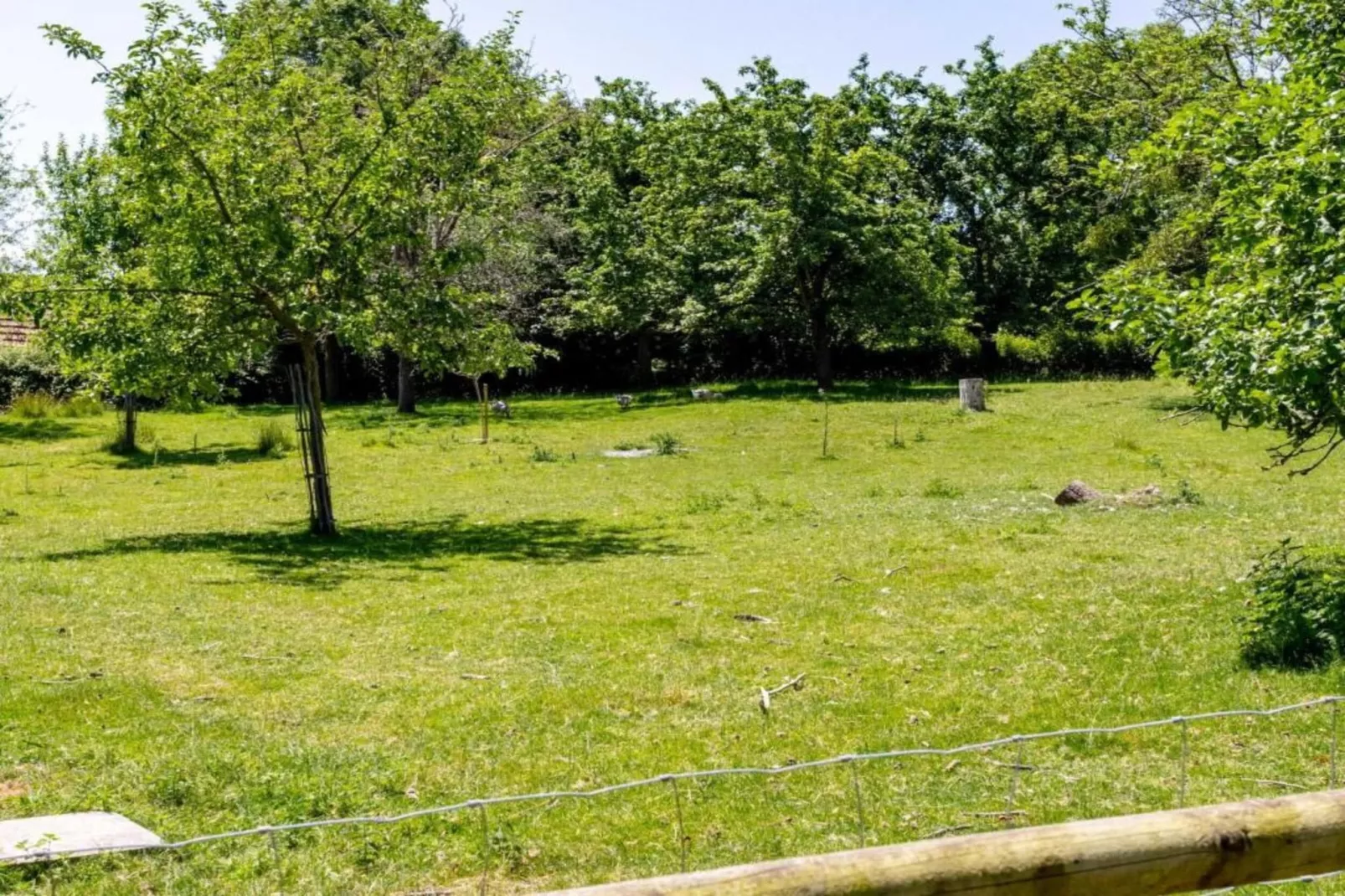 Villa Les Arts-Areas within 20km in summer