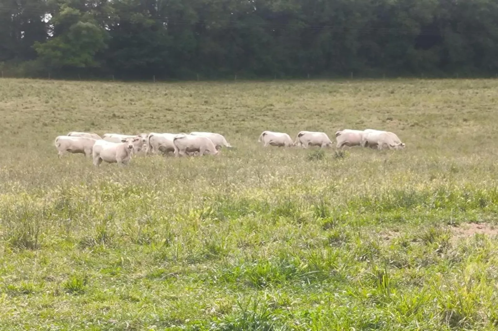 Maison de vacances Sossay-Gebiete Sommer 5 km