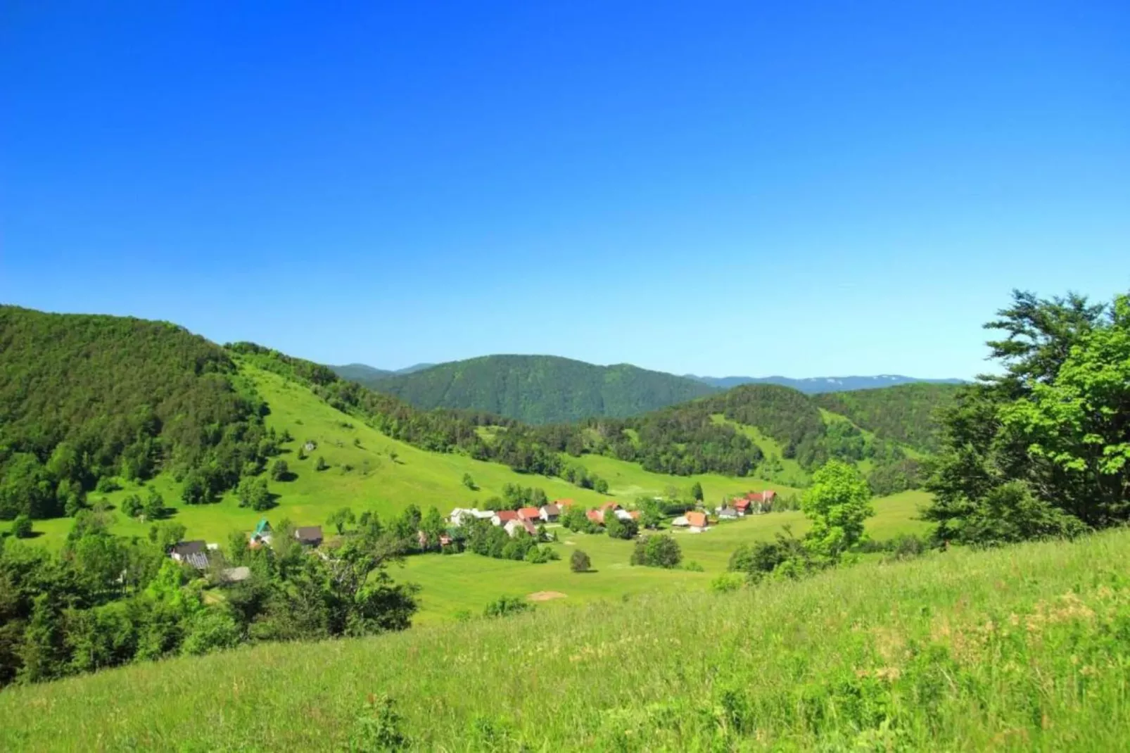 Holiday Houses Silvano-Areas within 20km in summer