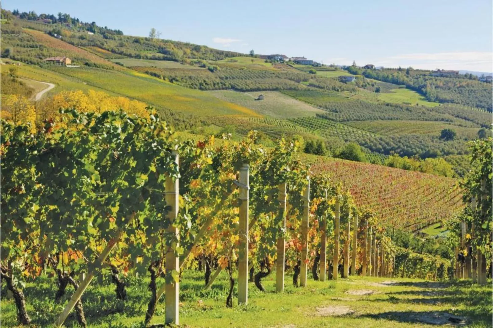 La Torre-Areas within 20km in summer
