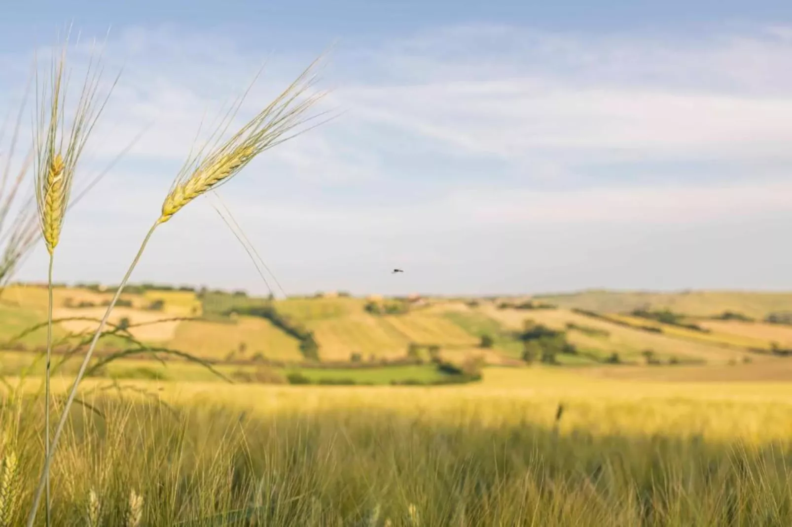 La Cantinaia Botte-Zones été à 20 km