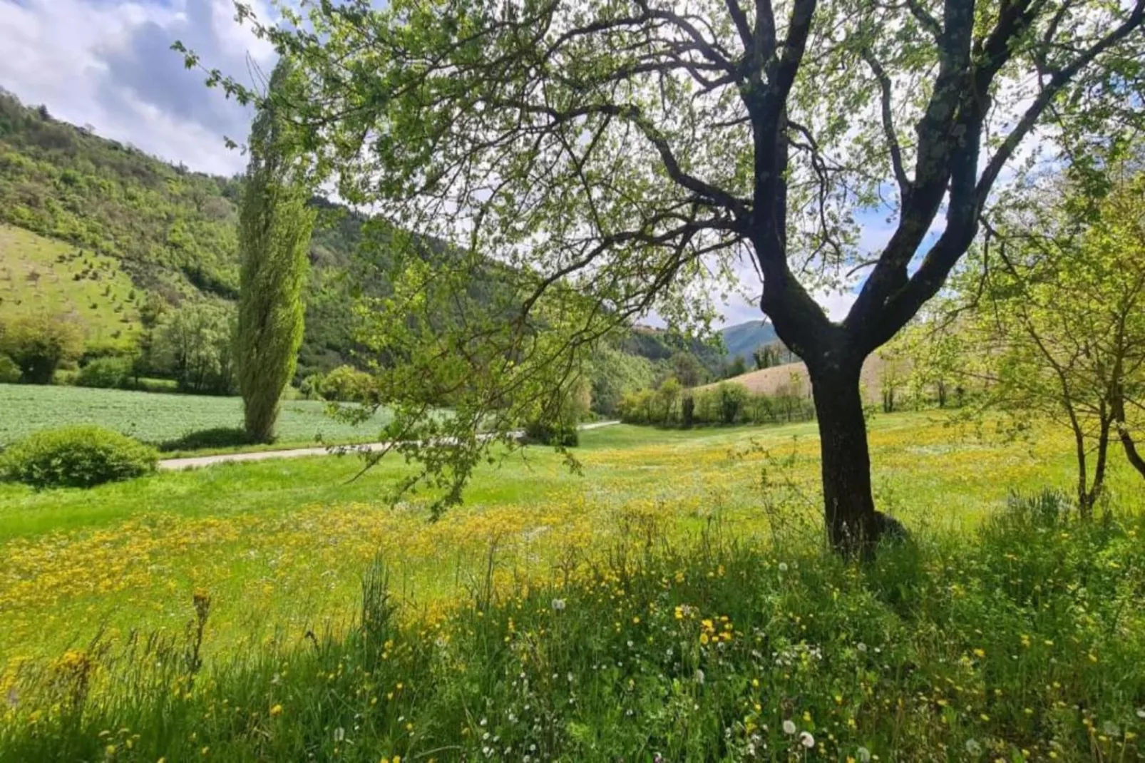 Sangiovese-Areas within 20km in summer