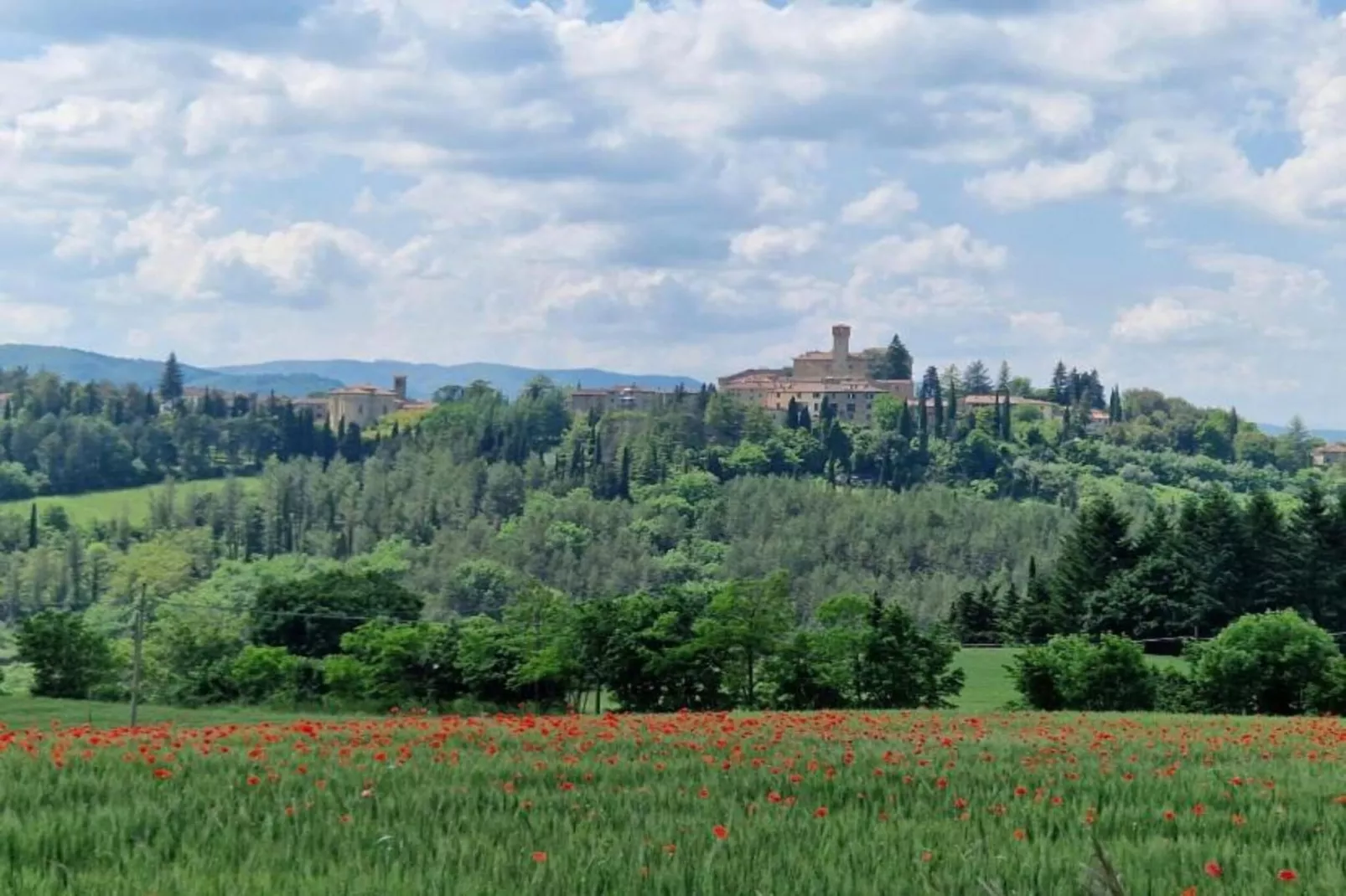 Loggia-Areas within 5km in summer
