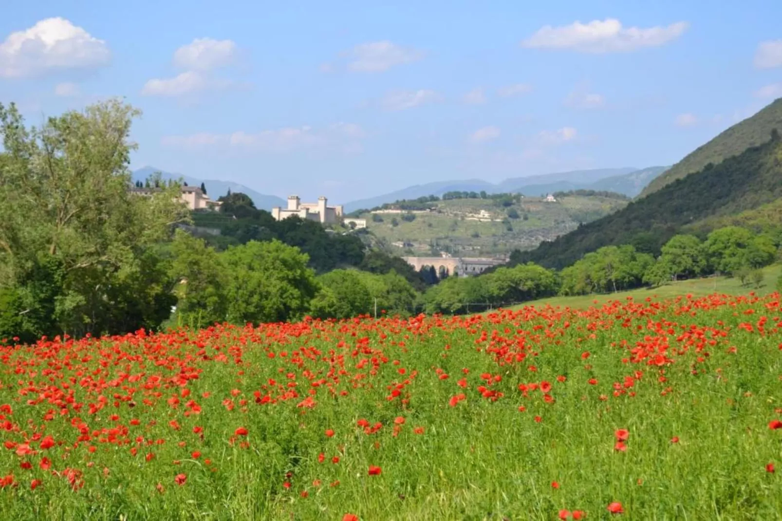 Colombaia-Areas within 20km in summer