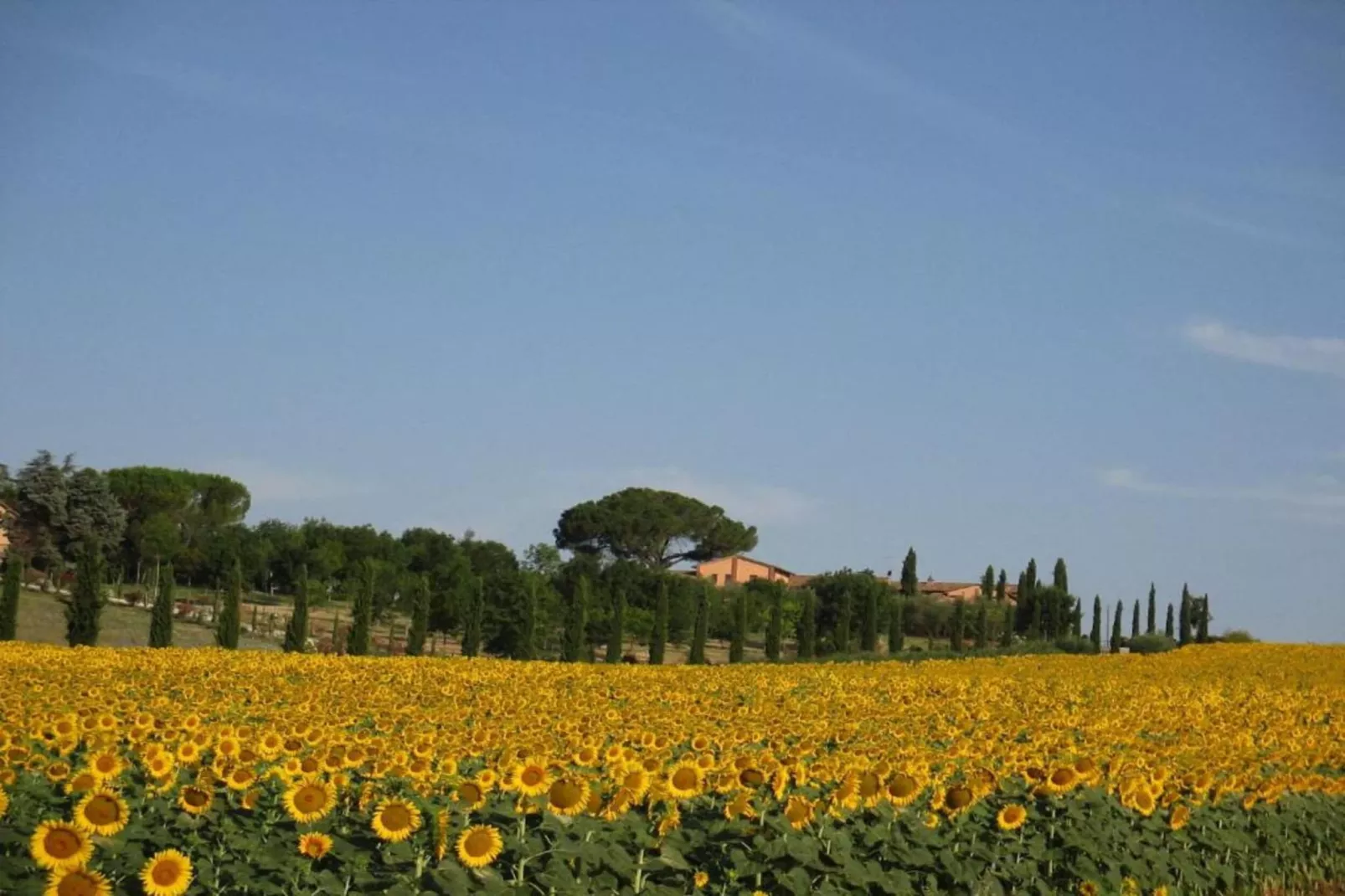 Fienile-Gebiete Sommer 20 km