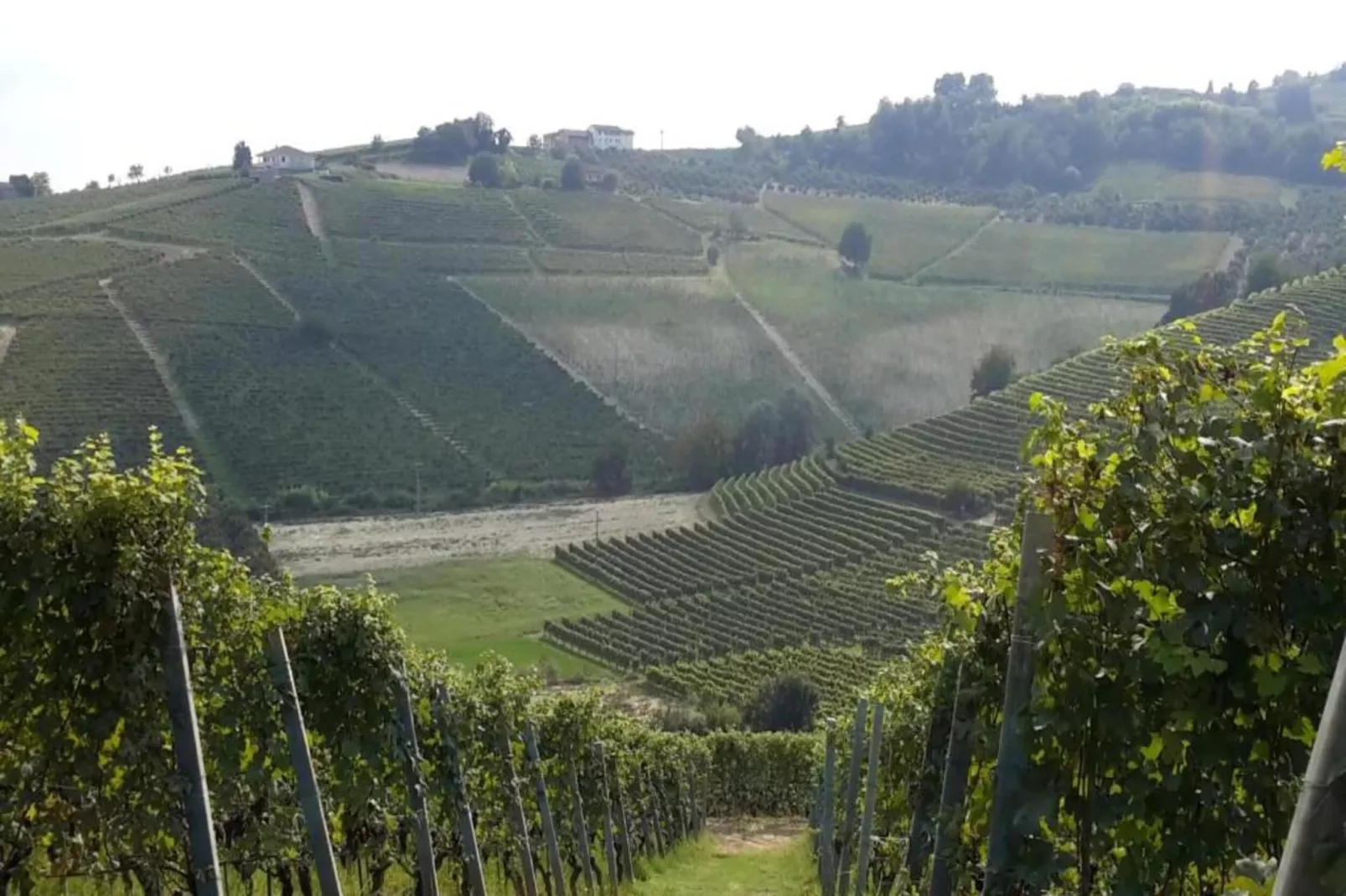 Niella-Areas within 20km in summer