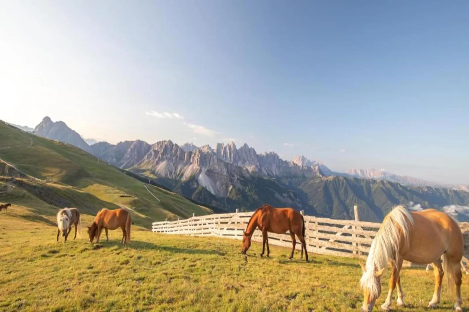 Rosalpina-Areas within 20km in summer