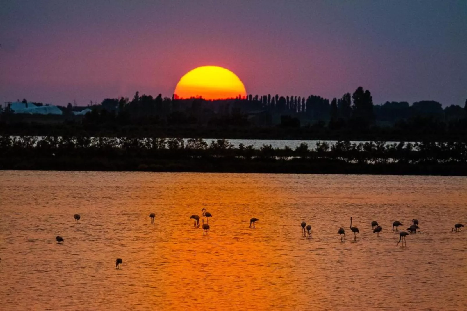 Ceseta 3 - Areas within 1km in summer