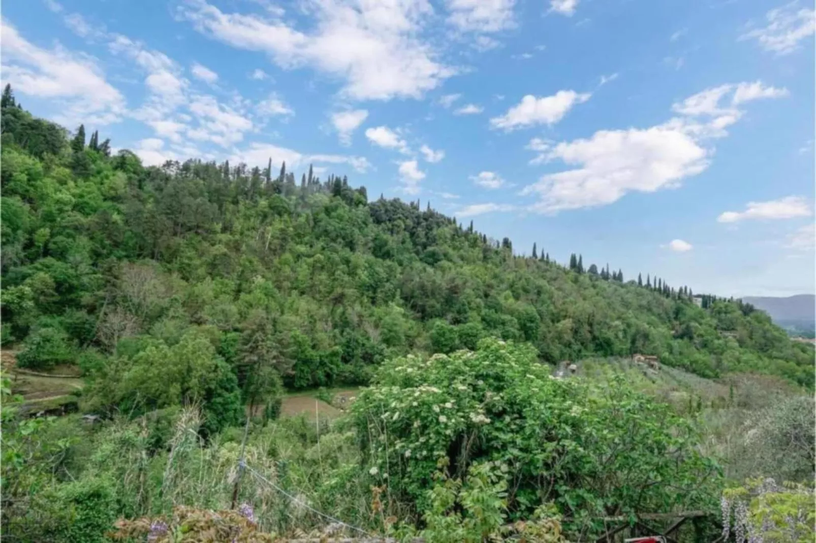 Monna Due-Areas within 20km in summer
