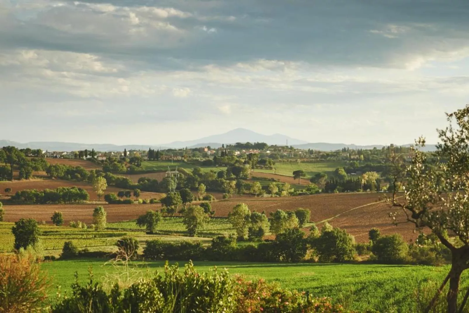 Castagno del Riccio-Areas within 5km in summer