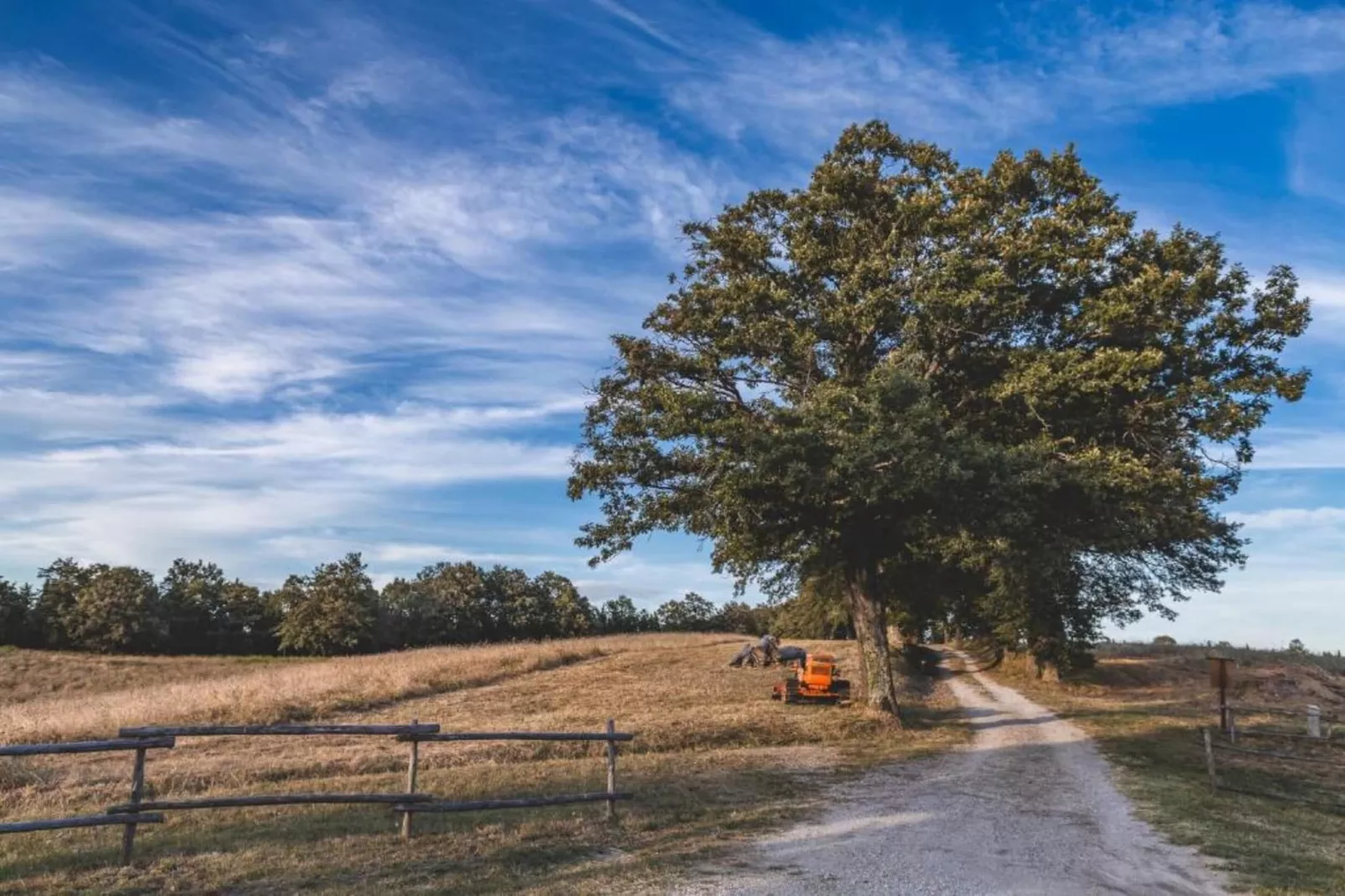 Mulino-Gebiete Sommer 20 km
