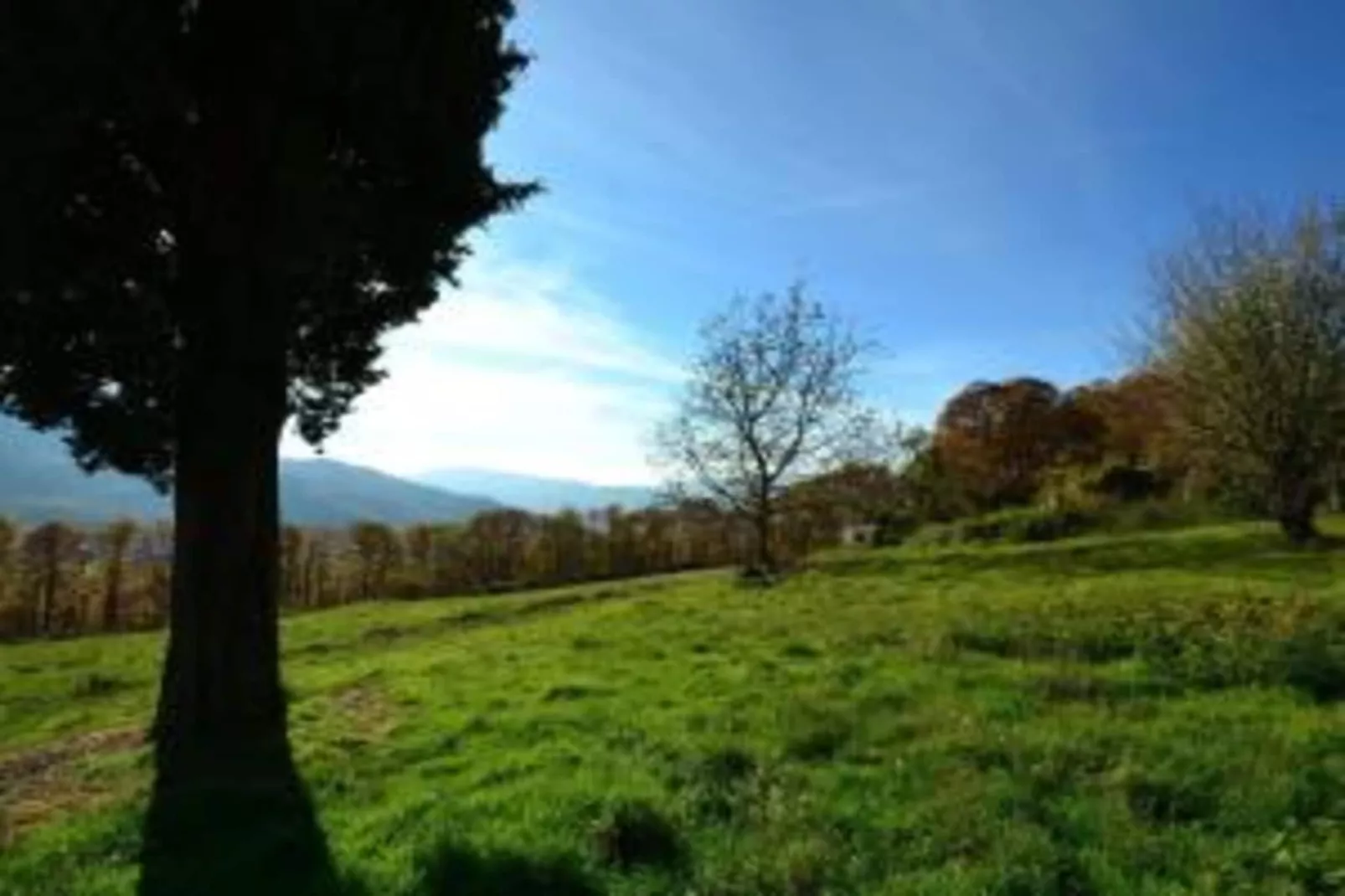Renzo-Areas within 20km in summer