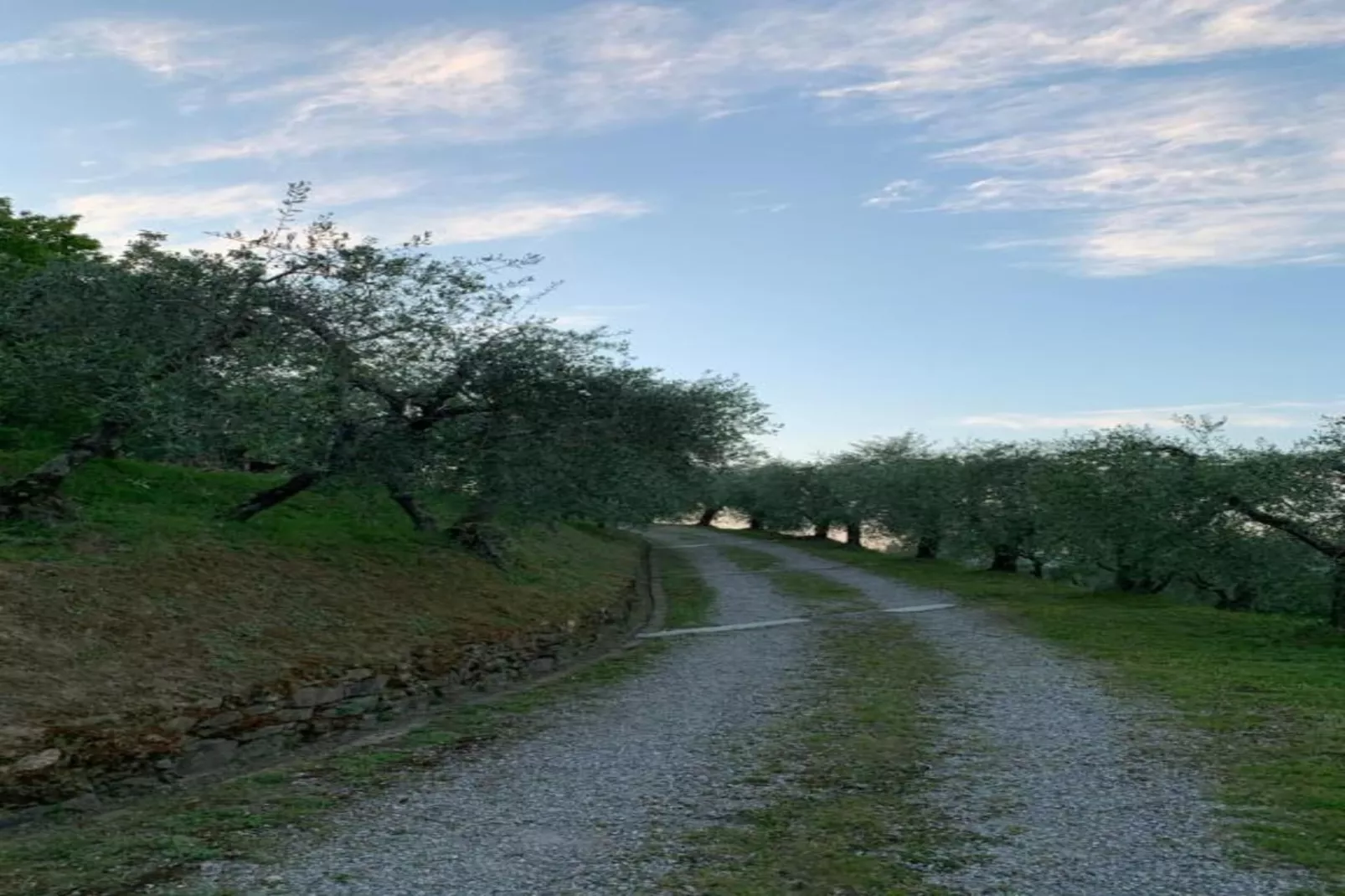 Collina Lagomare-Areas within 20km in summer