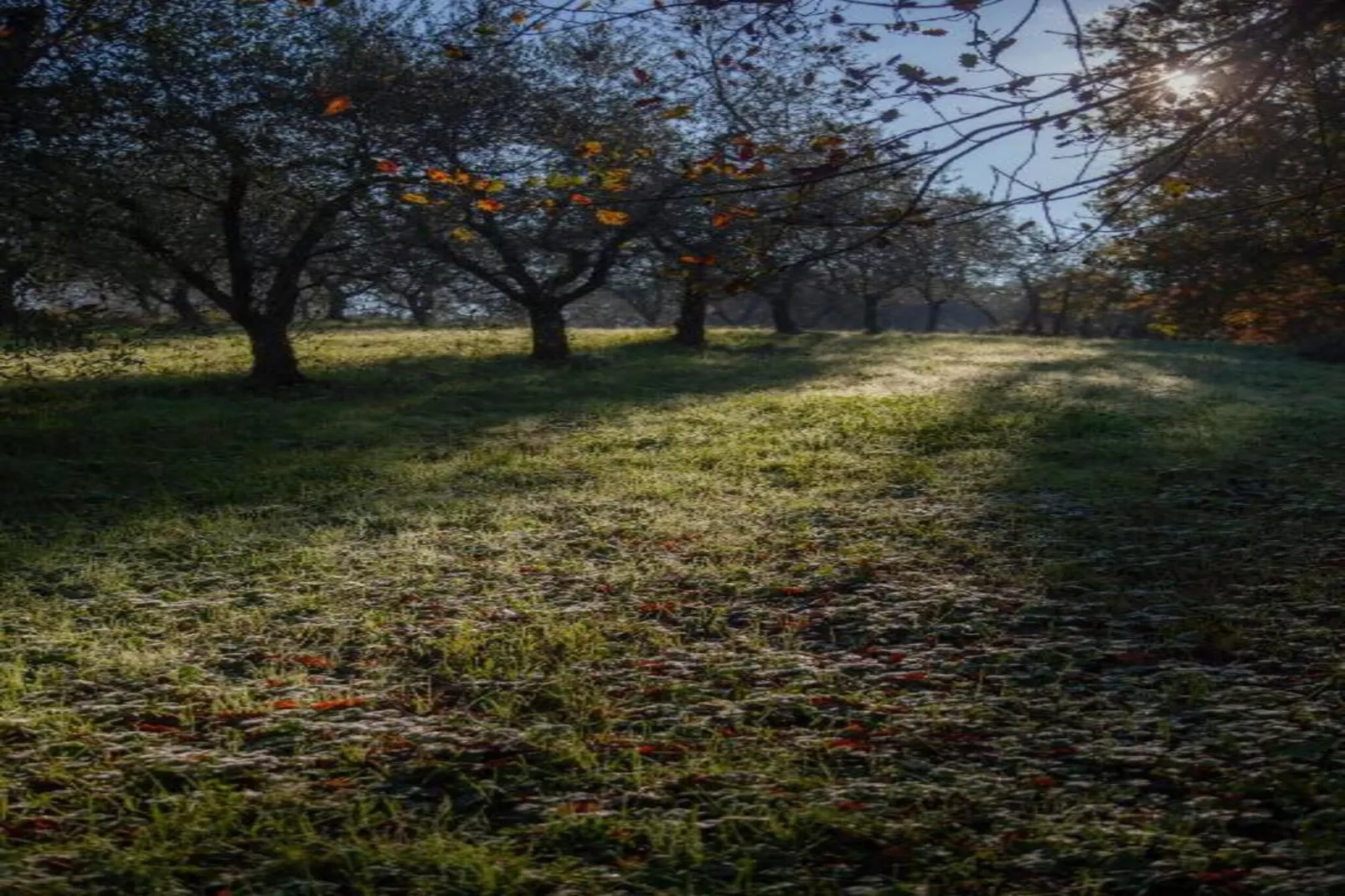 Le Mura di Lucca-Gebiete Sommer 20 km