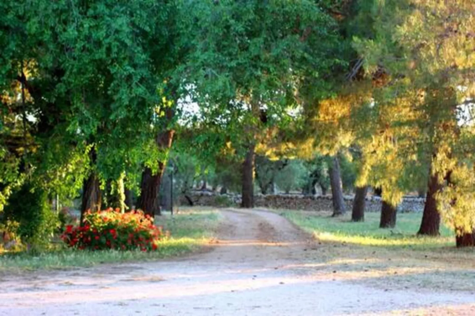 Il Tesoro-Areas within 20km in summer