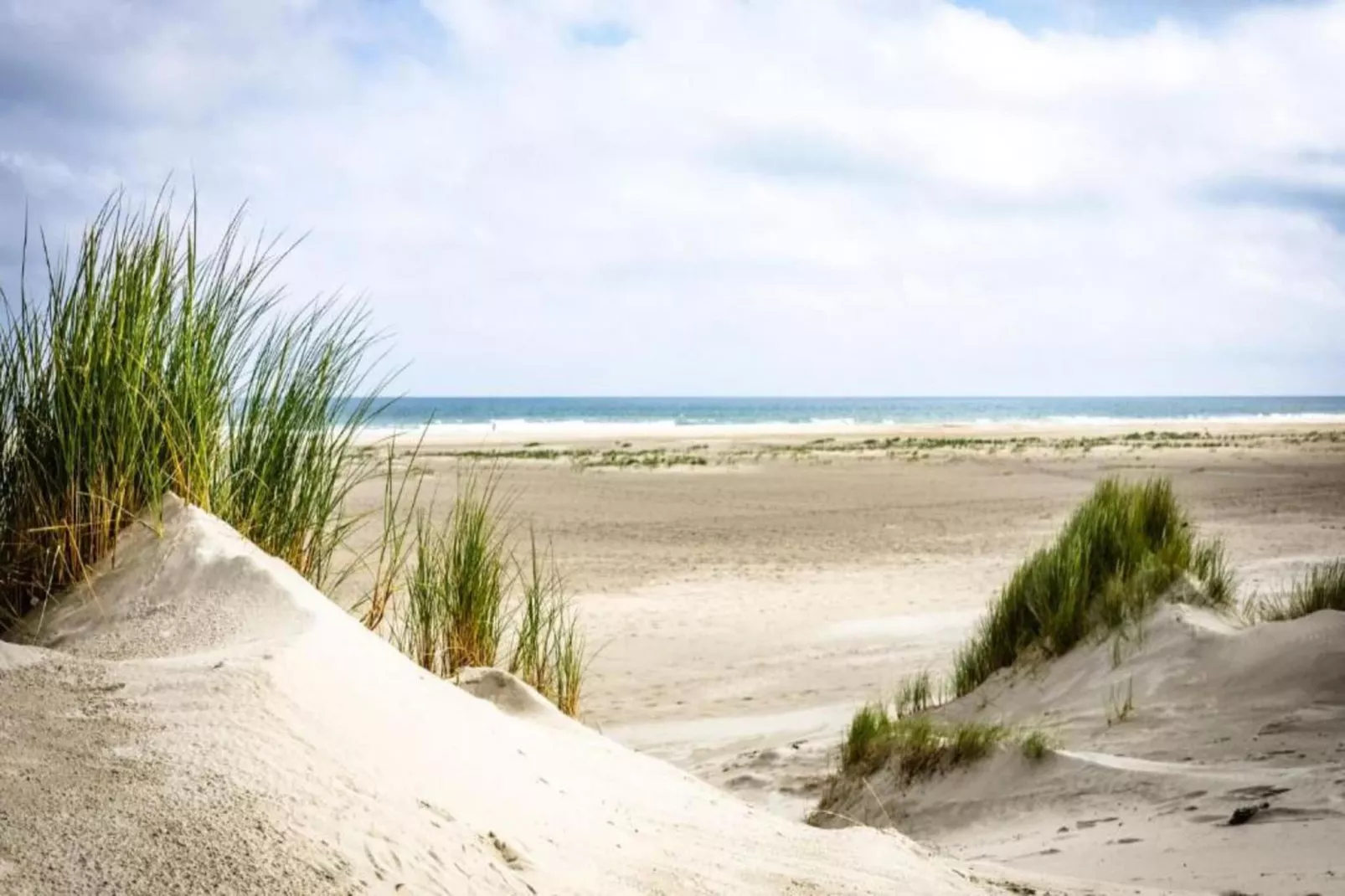 Duindroom op Terschelling-Areas within 20km in summer