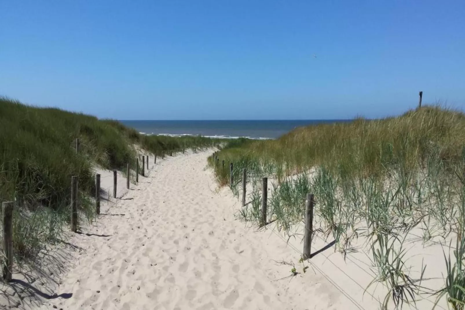 Zilte Bries-Areas within 20km in summer