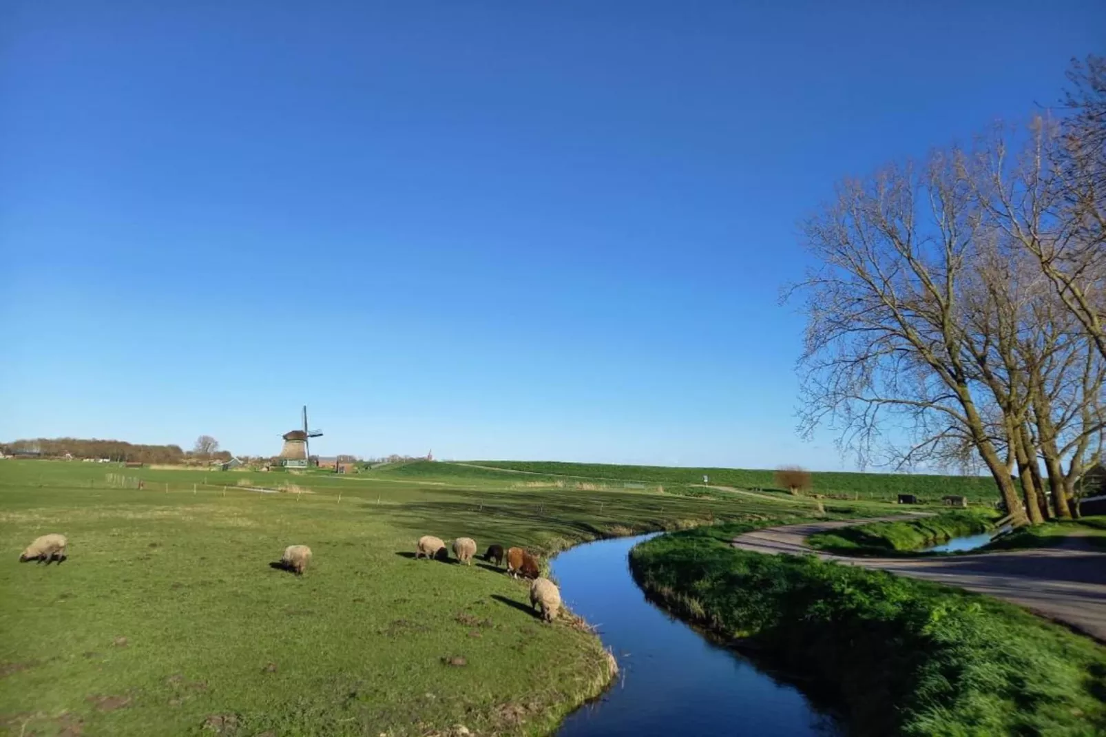 Park Wijdenes 4-Areas within 20km in summer
