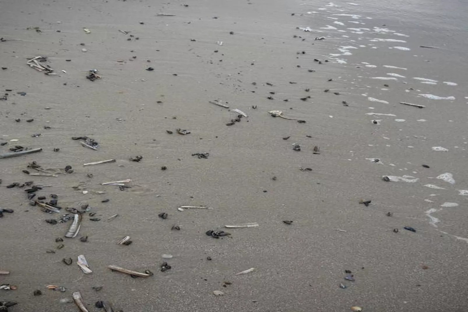 Strandslag 115-Areas within 20km in summer