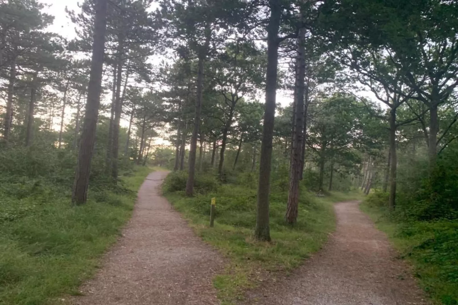 Residentie Californië 9-Zones été à 20 km