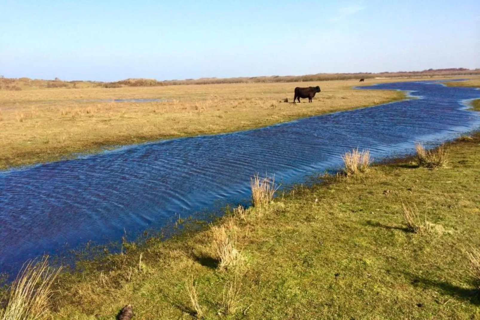 't Hoogelandt 3-Areas within 20km in summer
