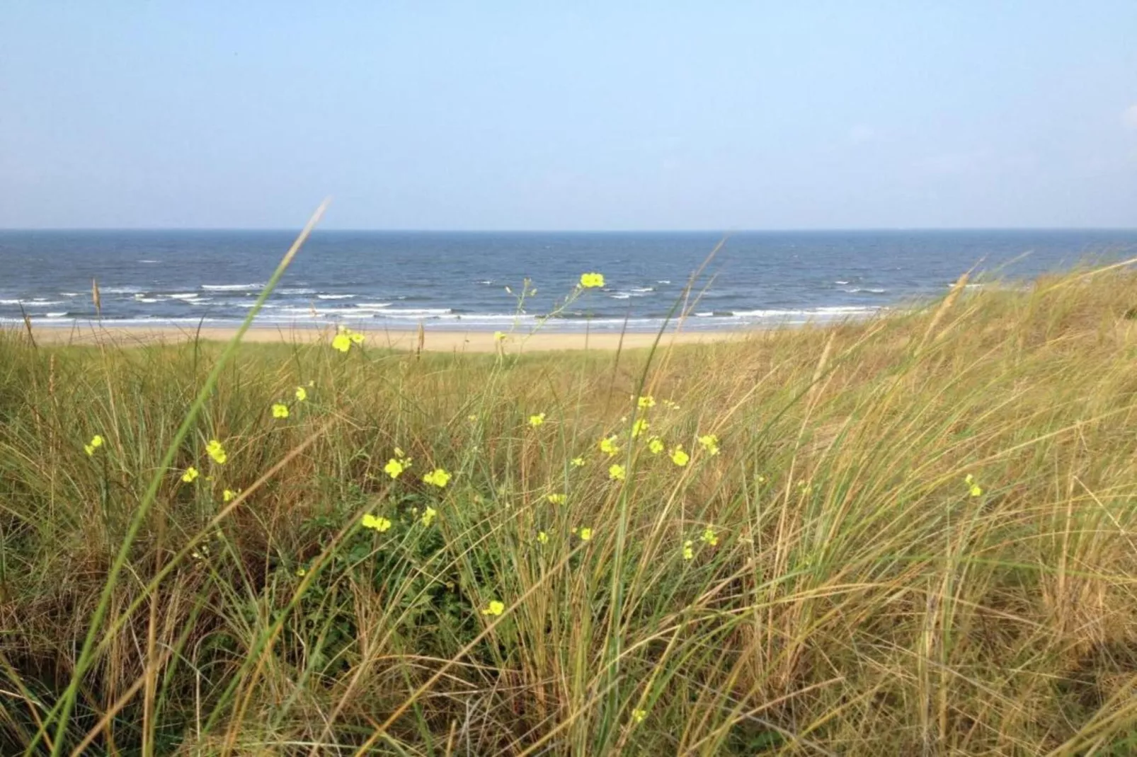 Huize Glory Saffier-Areas within 20km in summer