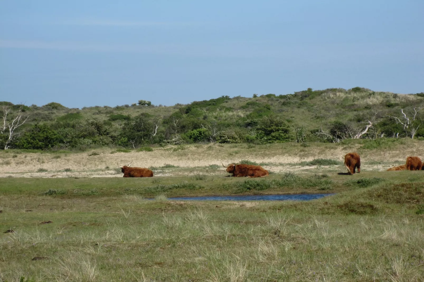 Sea Lodges Zandvoort 6-Gebiete Sommer 20 km