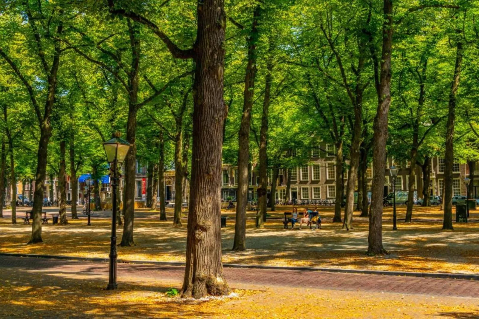 Vakantiepark Kijkduin 10-Areas within 20km in summer