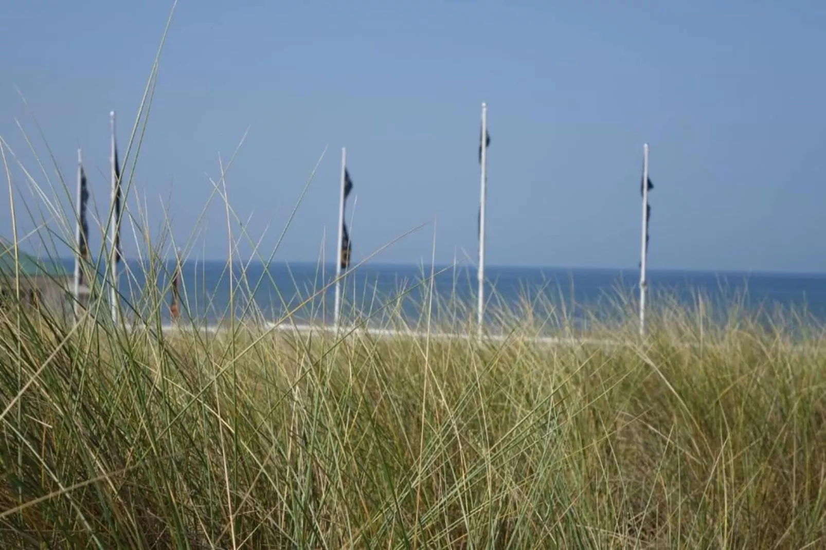 Beaudune-Areas within 20km in summer