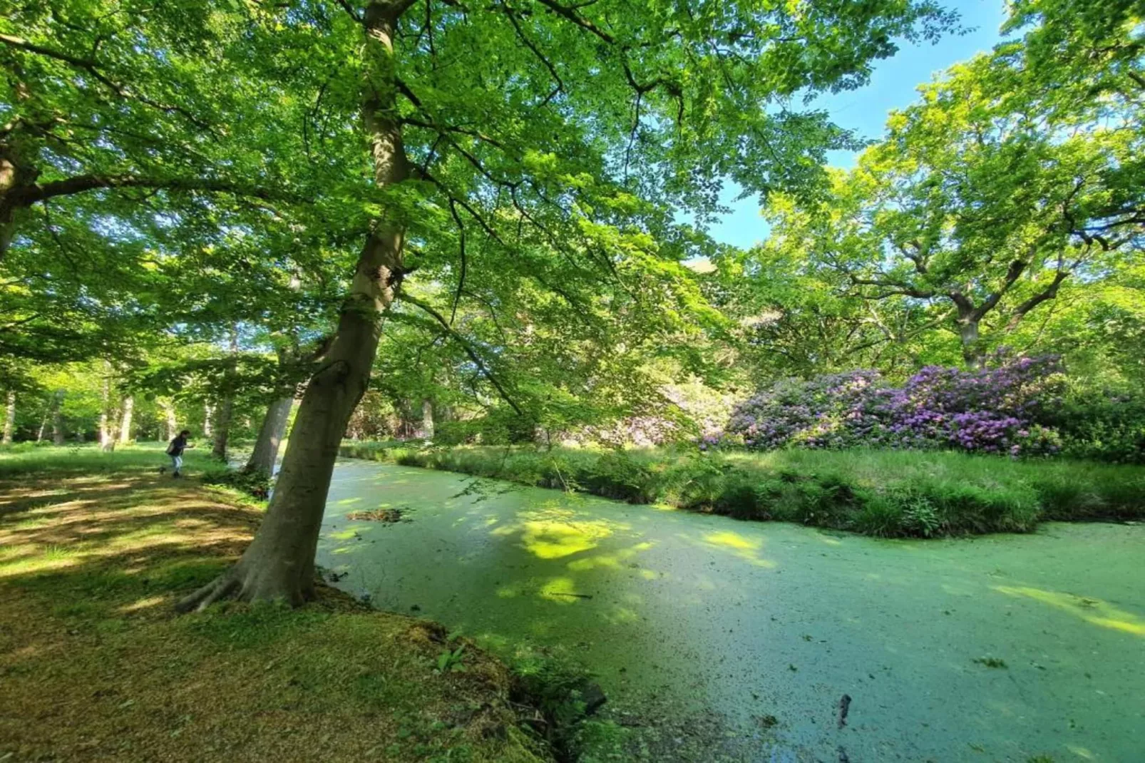 Twee Duinen-Areas within 20km in summer