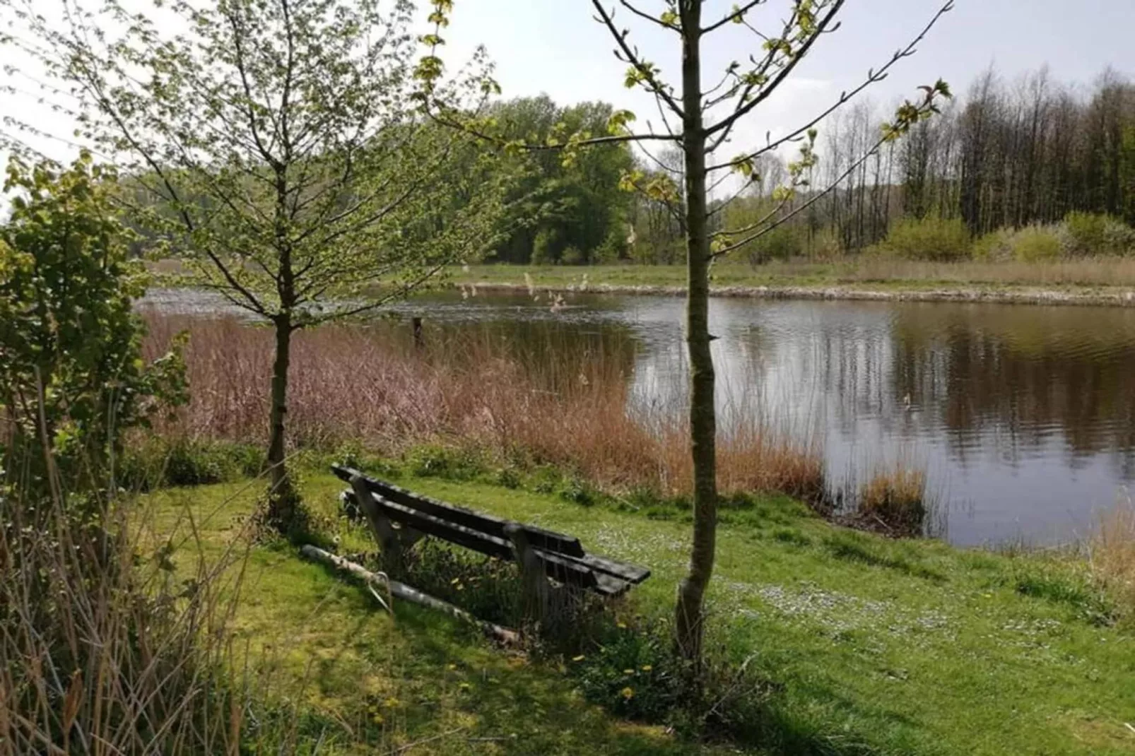 Barok Harderwijk 325-Areas within 20km in summer