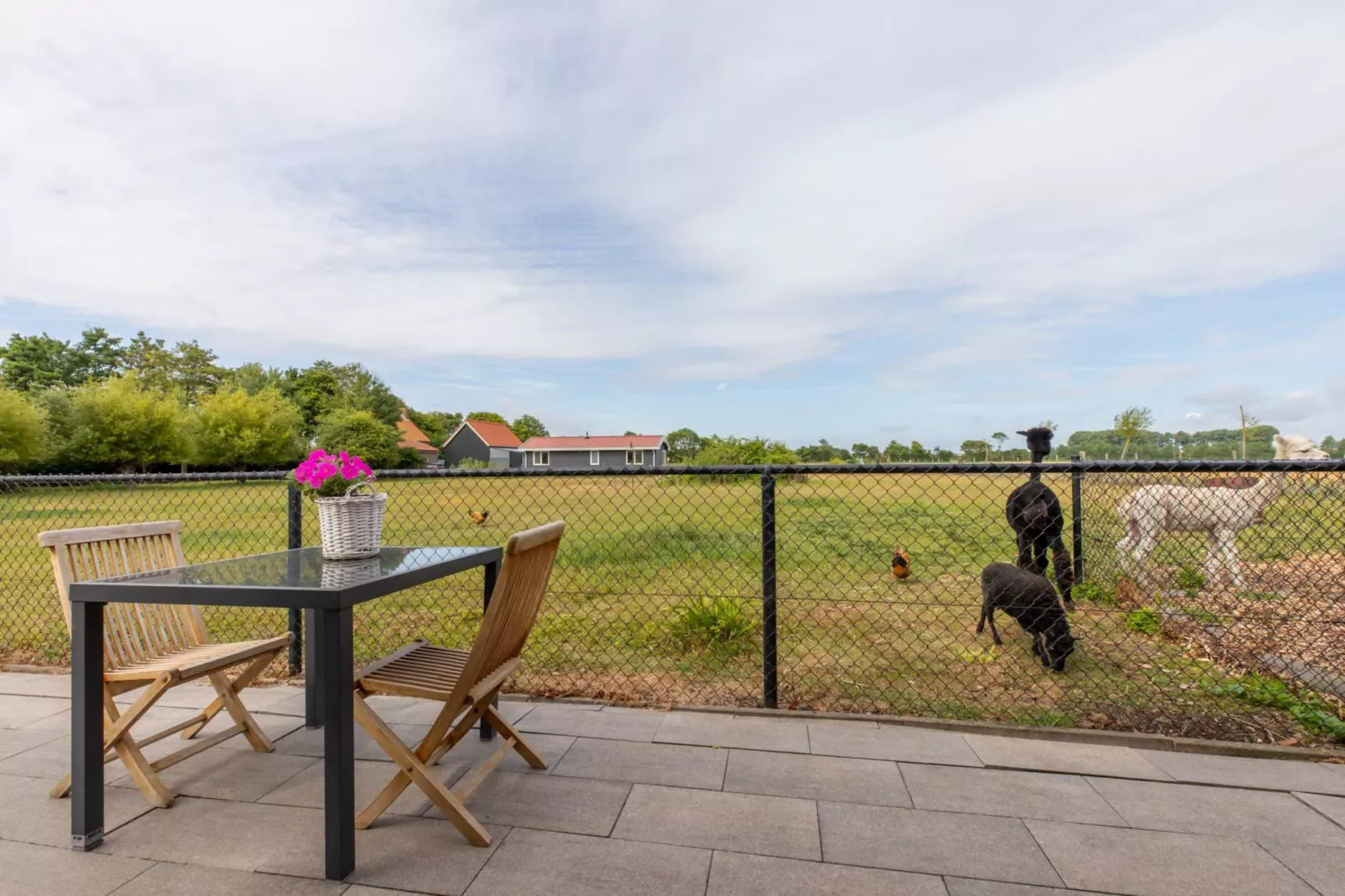 Vakantiehuis Groeneweg 3 'Jikkemien-View in summer