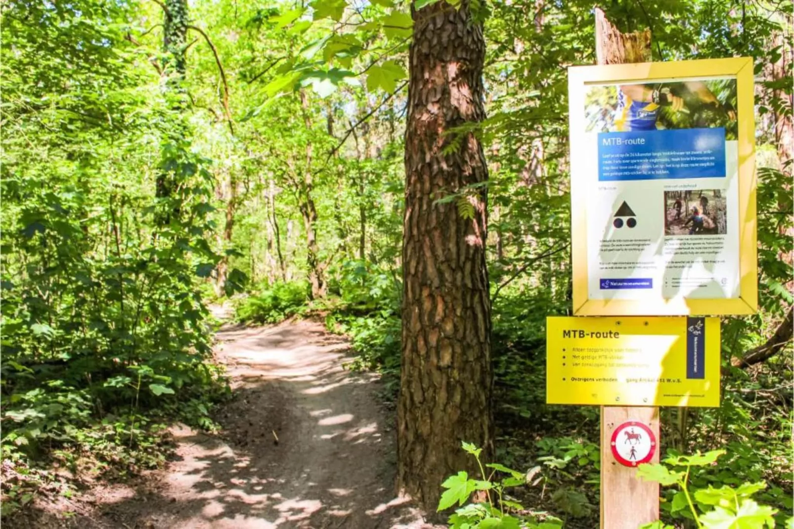 Recreatiepark Duinhoeve 11-Areas within 20km in summer