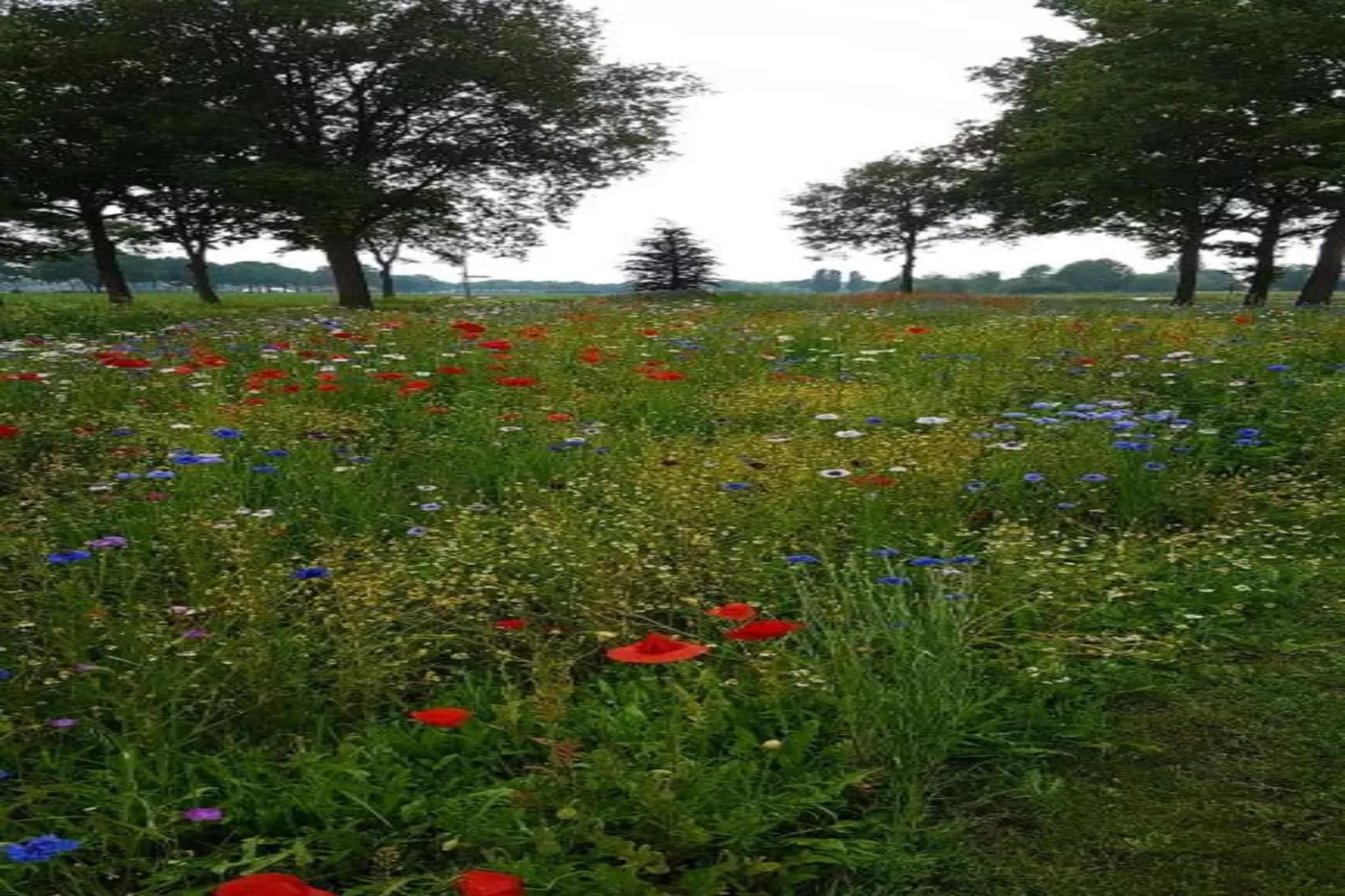 Vakantiepark Sandberghe 2-Gebiete Sommer 20 km