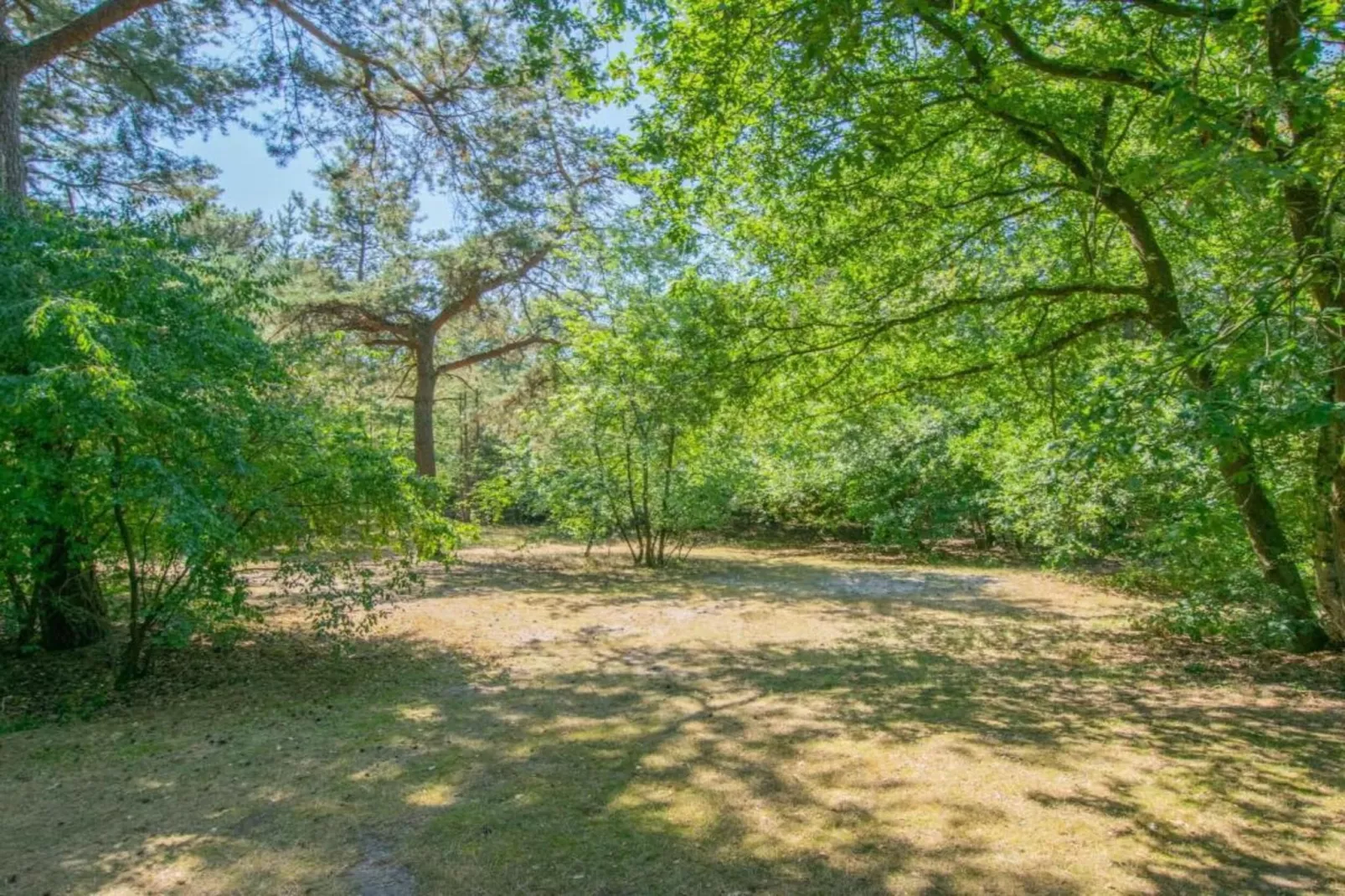 Vakantiepark Sandberghe 3-Areas within 20km in summer