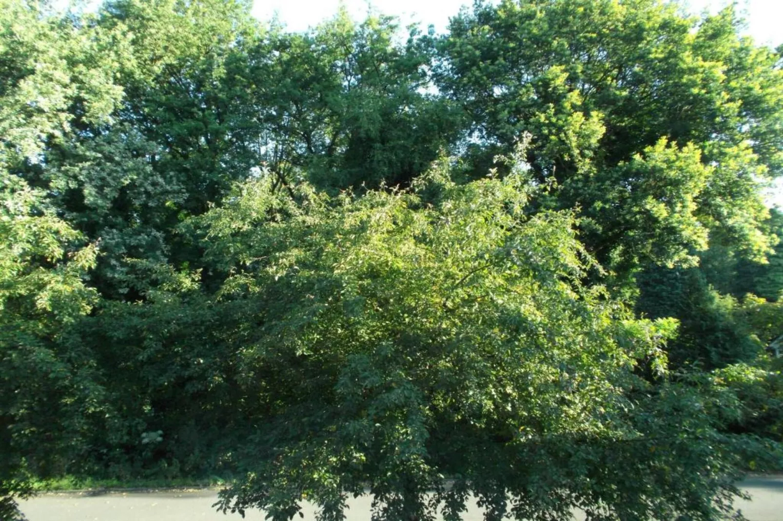 Vakantiepark Latour 2-Areas within 20km in summer