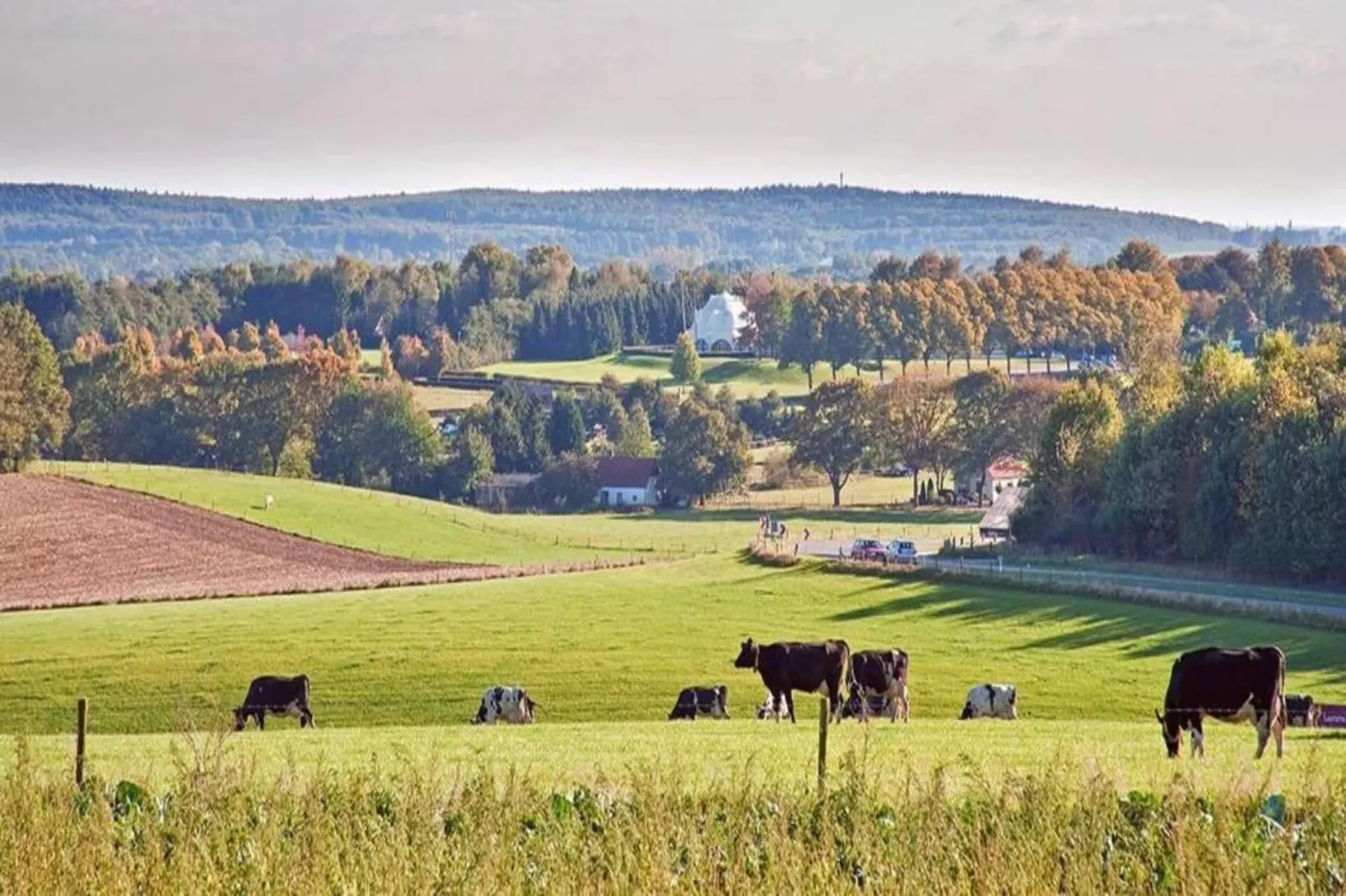 Vakantie bij Meeussen - Schuttersoord 2-Areas within 20km in summer