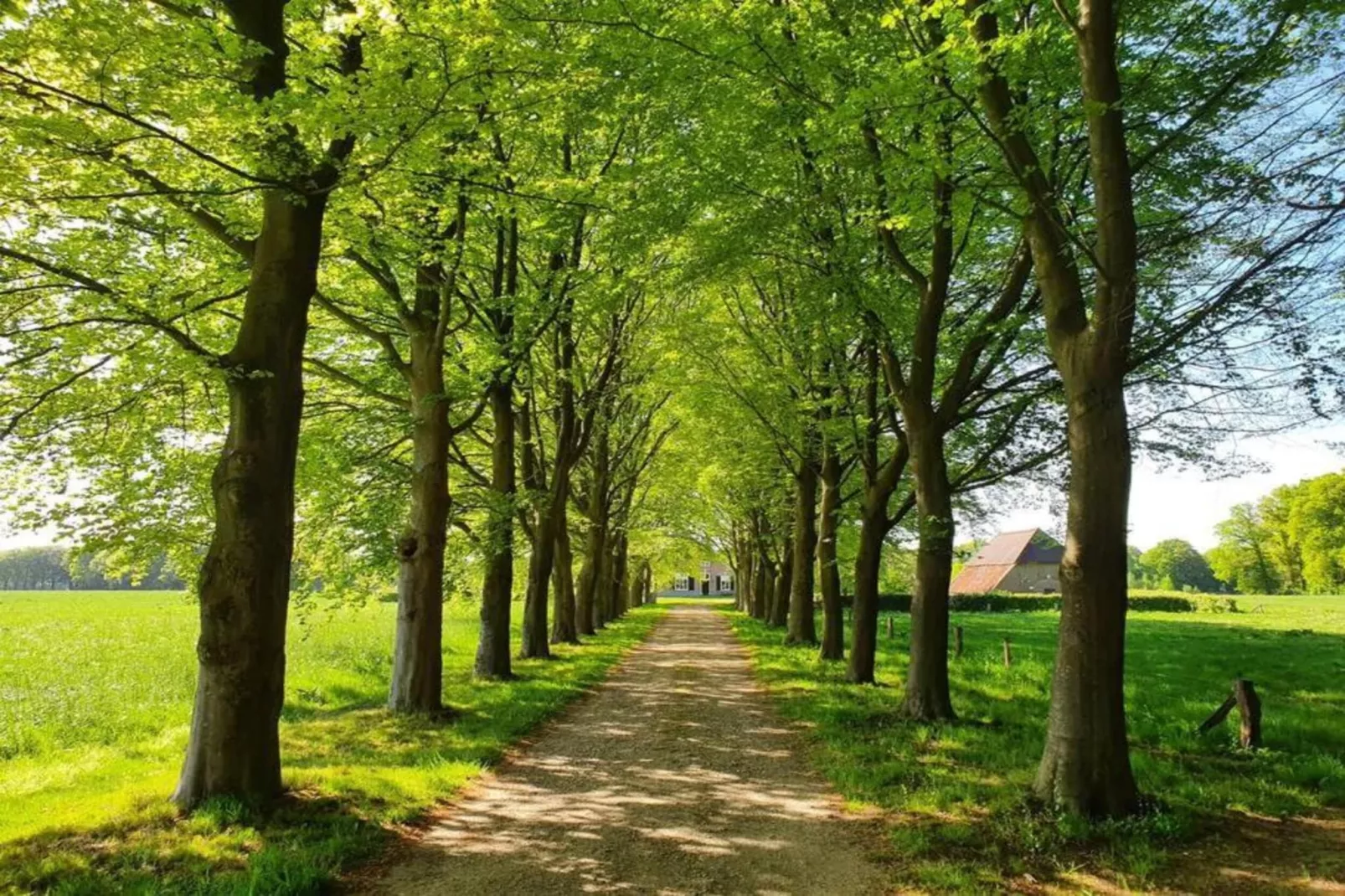 Recreatiebospark de Reehorst 1-Areas within 20km in summer