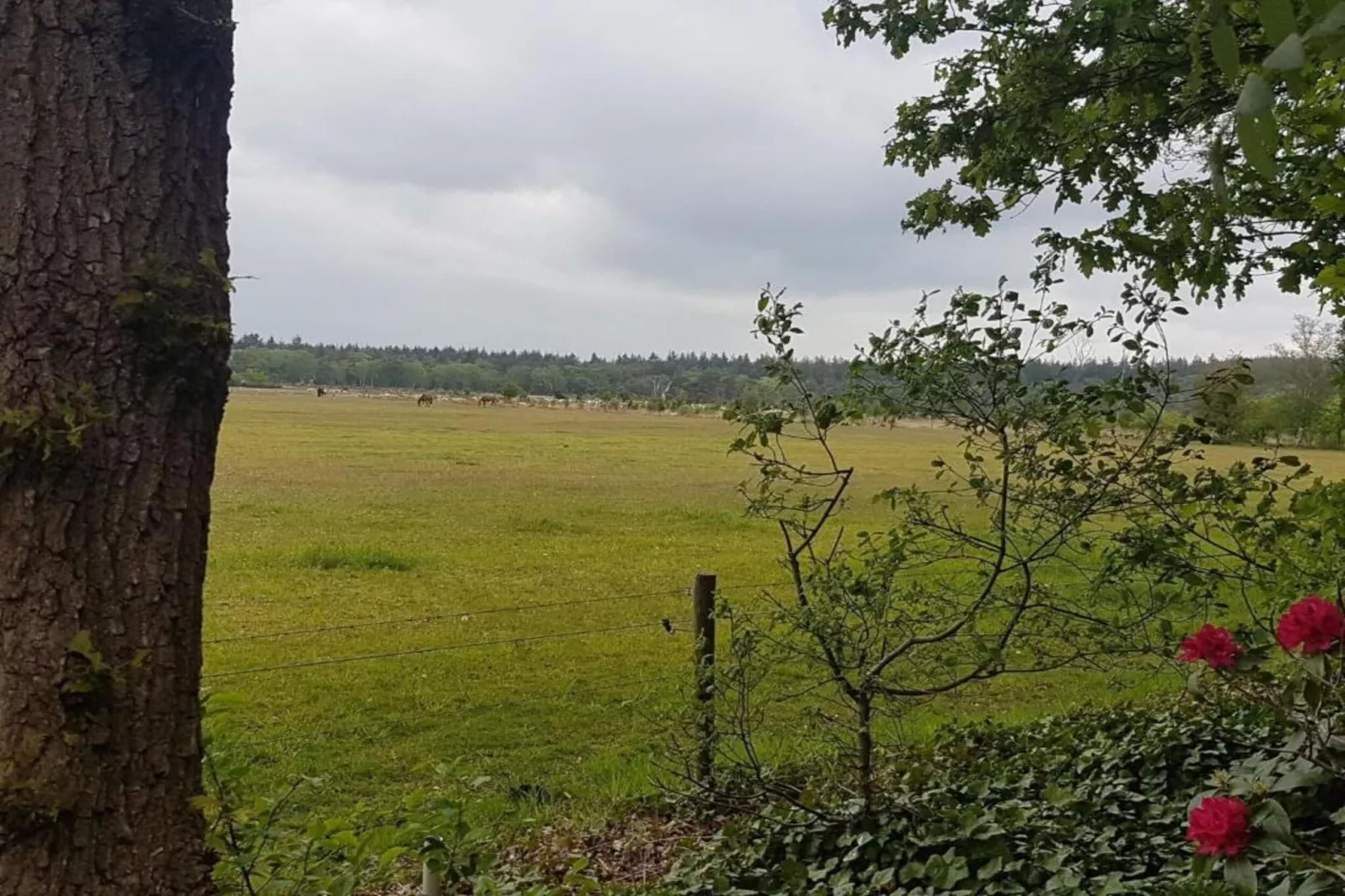 Hof van Salland 2-Gebiete Sommer 5 km
