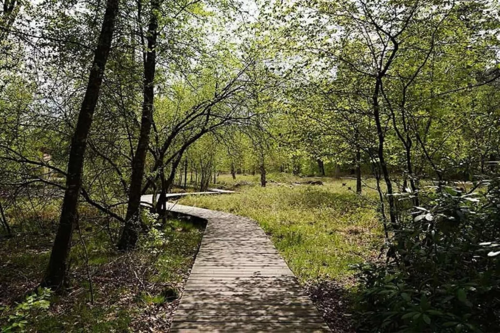 Bungalowpark Hoenderloo 3-Areas within 20km in summer