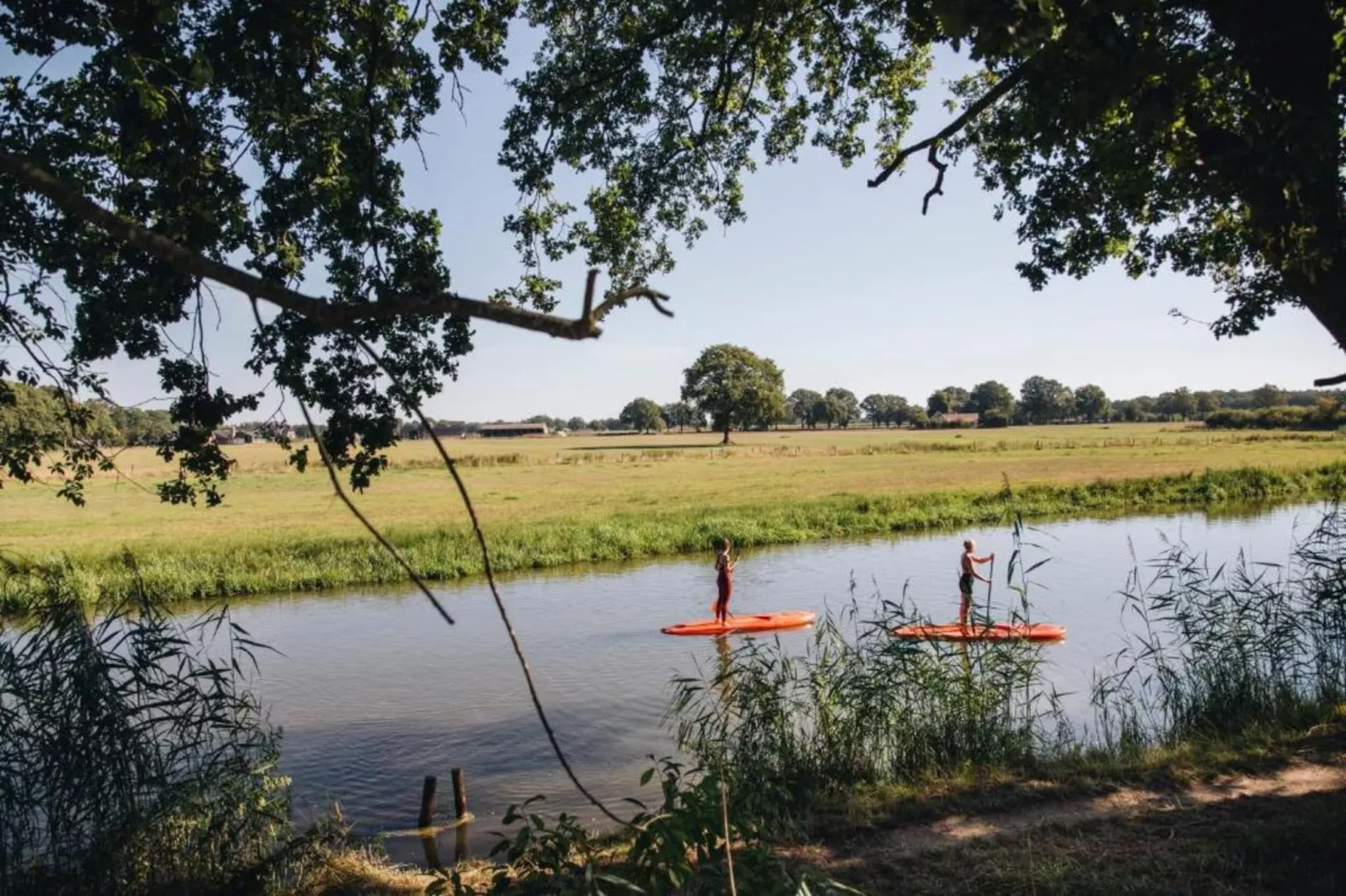 Vakantiepark Mölke 32-Areas within 20km in summer