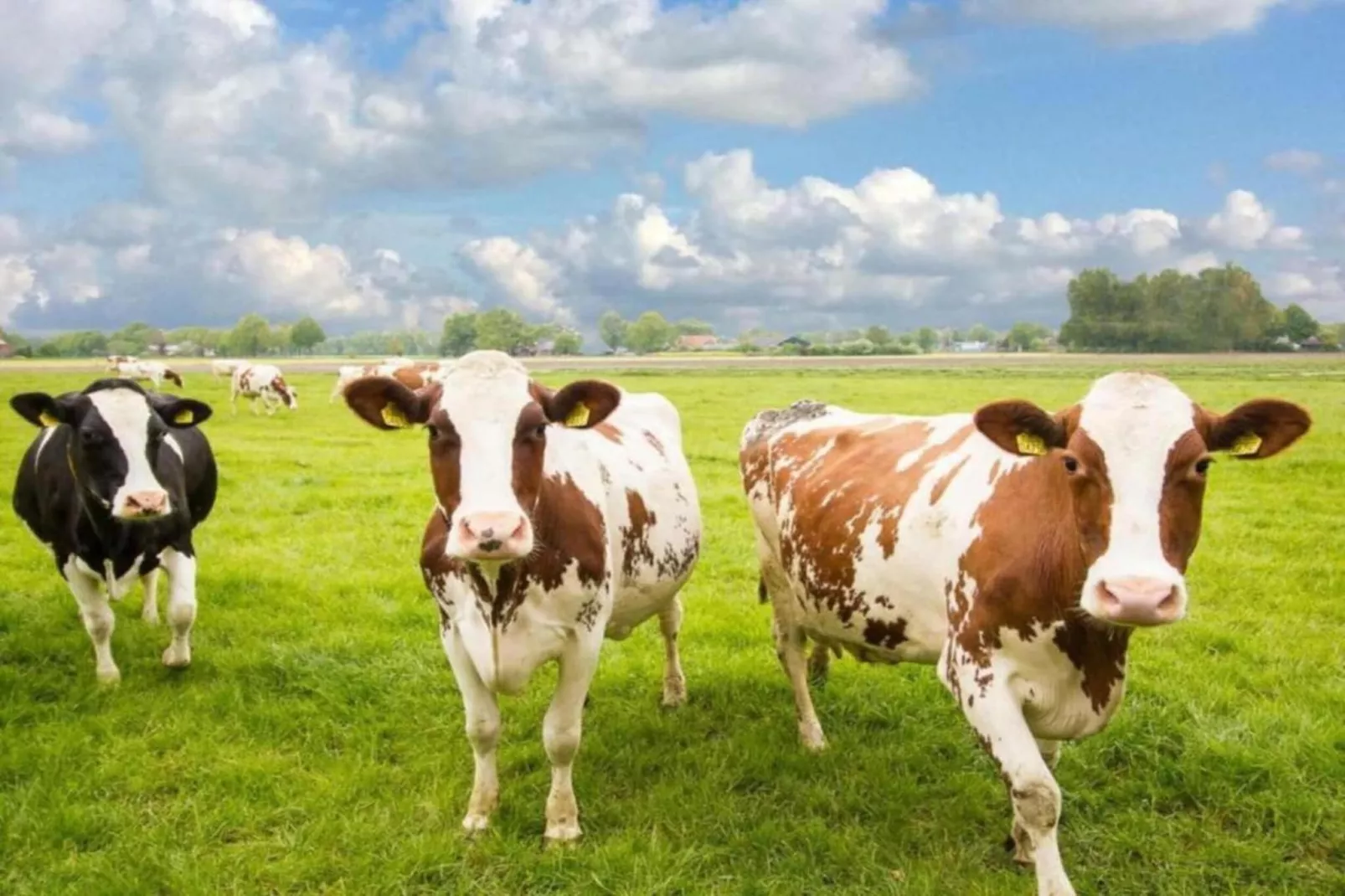 Buitenplaats Holten 16-Areas within 20km in summer