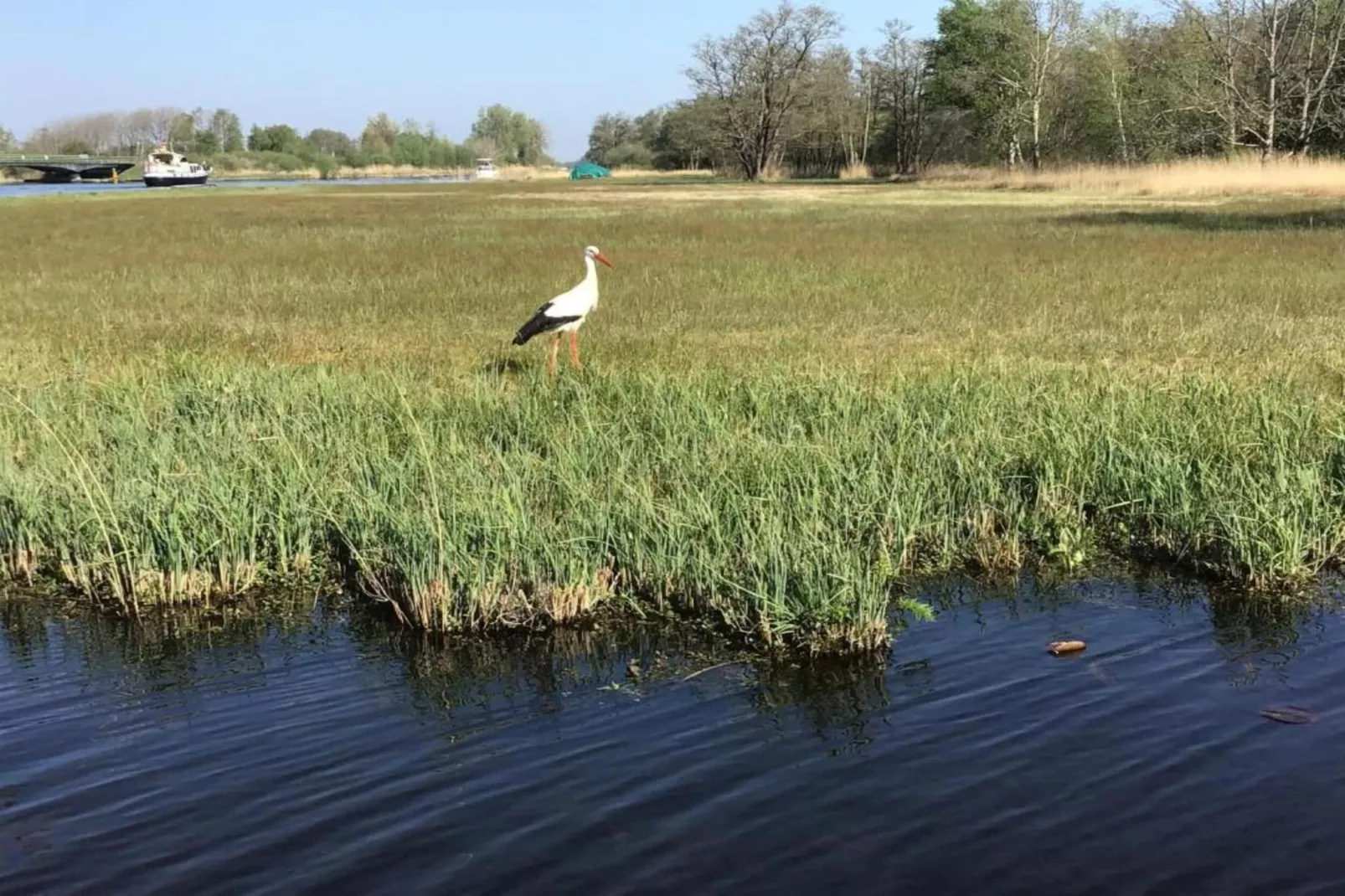 Waterpark Belterwiede 1-Zones été à 20 km