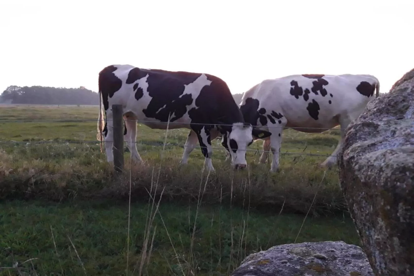 RCN Vakantiepark de Noordster 4-Gebiete Sommer 20 km