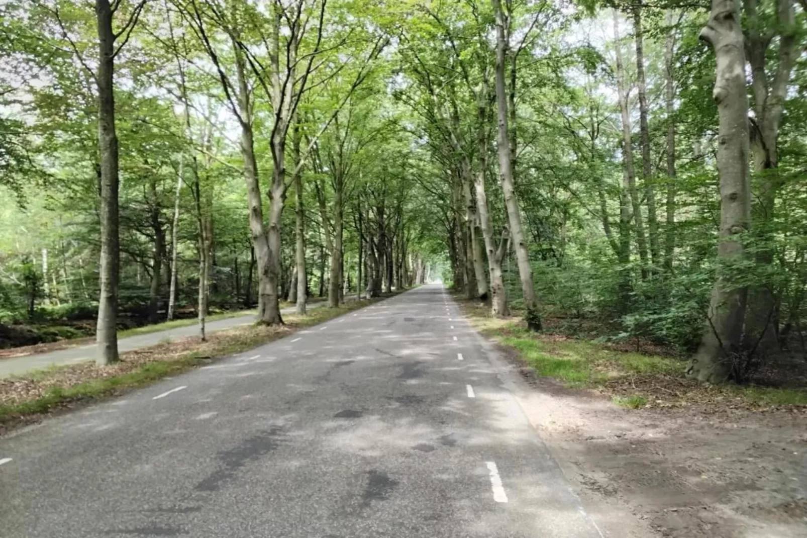Landgoed Eysinga State 1-Areas within 20km in summer