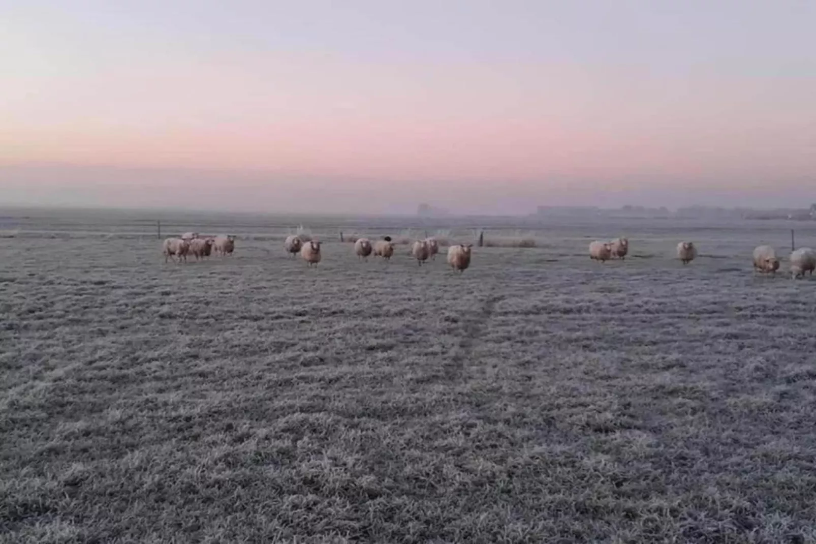 Landgoed Eysinga State 4-Areas within 20km in summer