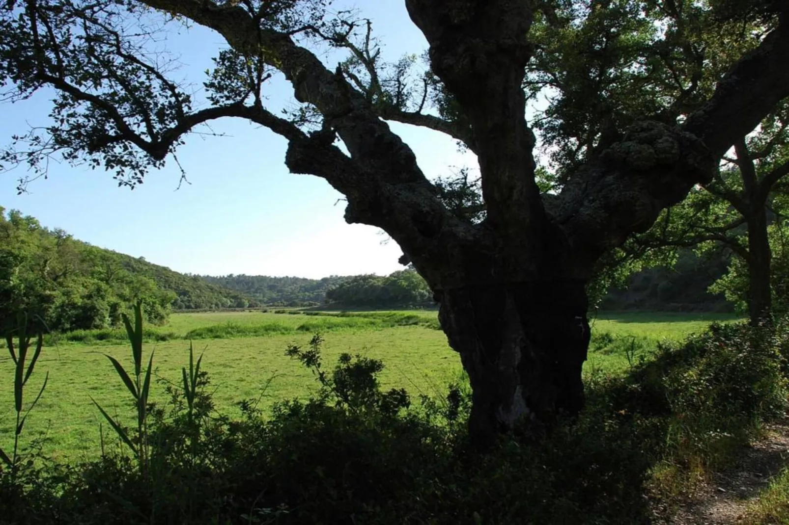 Casa da Adega-Zones été à 20 km
