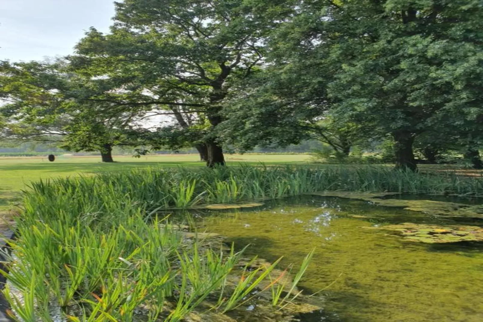 Parc de Kievit 20-Gebiete Sommer 20 km