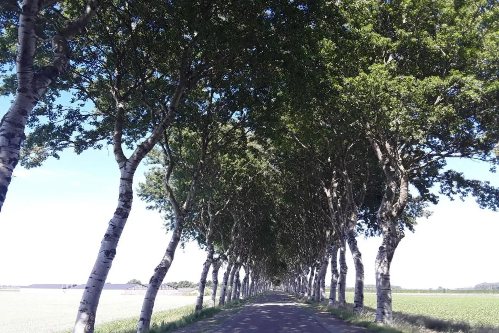 Oostkapelseweg 32 -Ooievaar-Zones d'été à 20 km